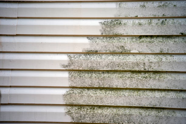 Best Carpet Removal and Disposal  in Miami Beach, FL